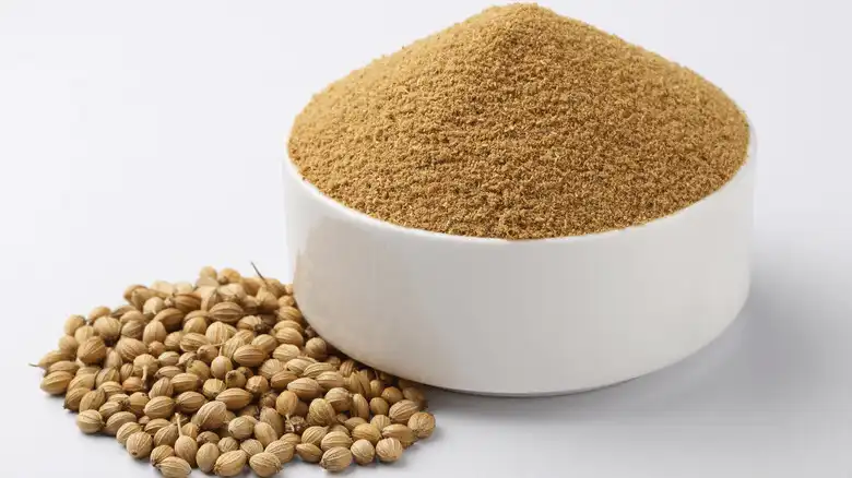 Coriander